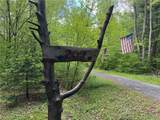 207 Cherry Lane - Photo 46