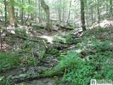  Snowball Hollow Road - Photo 11