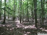  Snowball Hollow Road - Photo 12