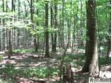 Snowball Hollow Road - Photo 13