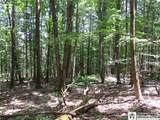  Snowball Hollow Road - Photo 15