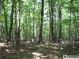  Snowball Hollow Road - Photo 16