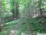  Snowball Hollow Road - Photo 2