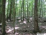  Snowball Hollow Road - Photo 8