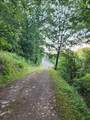 1364 Rich Valley Road - Photo 3
