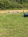 1037 County Road 36 - Photo 17