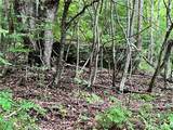 0 Marvin Hollow Road - Photo 7