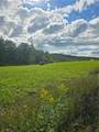  Potter Road - Photo 11