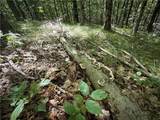 0 Cornell Hollow Road - Photo 14