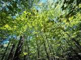 0 Cornell Hollow Road - Photo 23