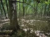 0 Cornell Hollow Road - Photo 6