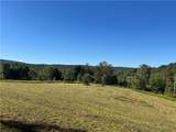 677 Frisbee Road - Photo 49