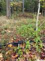  Wattlesburg Road - Photo 10