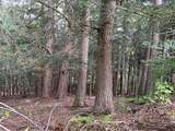 421 Welch Road - Photo 8