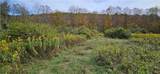 161 Montgomery Hollow Road - Photo 14