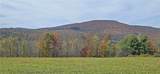 161 Montgomery Hollow Road - Photo 4