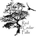 5 Red Cedar Falls Lane - Photo 13