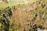 8170 Campbell Road - Photo 12