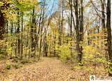 2996 Bard Road - Photo 39