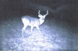62054 State Route 415 - Photo 10
