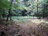 62054 State Route 415 - Photo 3
