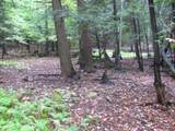 62054 State Route 415 - Photo 7