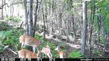  Big Hollow Road - Photo 3