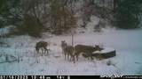 Big Hollow Road - Photo 4