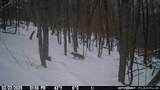  Big Hollow Road - Photo 5