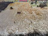 Bankert - Photo 2