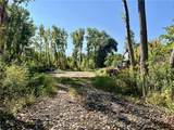 709 Ogden Parma Town Line Road - Photo 14