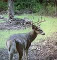 10720 Duck Lake Road - Photo 2