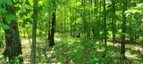  Hagerman Road - Photo 2