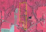  New Jerusalem Road - Photo 15