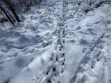  New Jerusalem Road - Photo 4