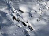  Carpenter Road - Photo 20