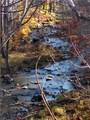 6240 Pheasants Crossing - Photo 20