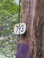 793 Joseph Road - Photo 28