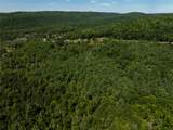 8230 County Route 16 (Telegraph Road) - Photo 5