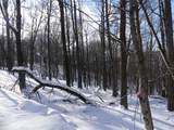  State Highway 28 - Photo 4