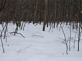 Lot 119 and 110 Corbin Hill Road - Photo 10