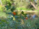  Rt-90 - Photo 24