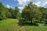 0 Red Kill Road - Photo 13