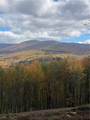 535 Babbling Brook Road - Photo 2