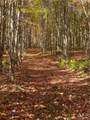535 Babbling Brook Road - Photo 3