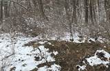  Glen Avenue - Photo 3