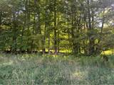 19.221 Turnpike Road - Photo 10