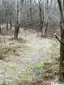 8176 Kelly Hill Road - Photo 6