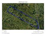 2959 Roods Creek Road - Photo 1