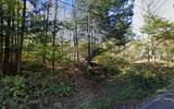 2959 Roods Creek Road - Photo 2